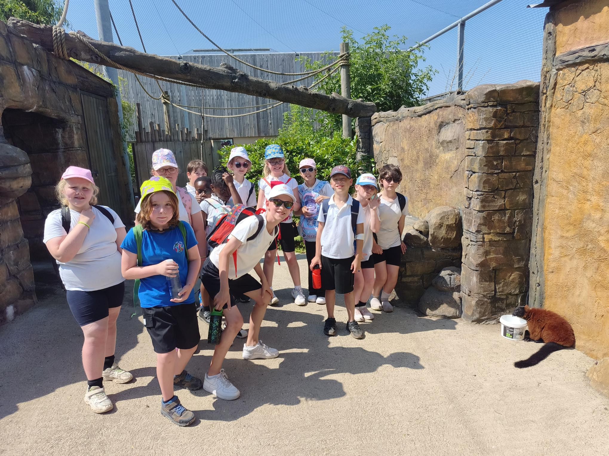 Lincoln Zoo Trip